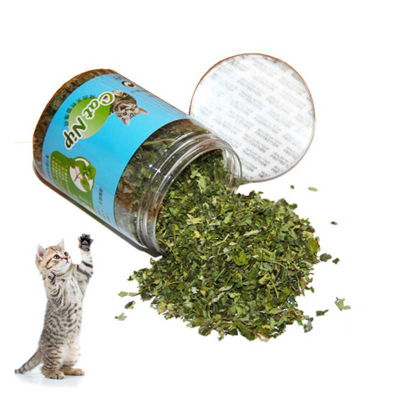 Cat Food Snack Hairball Catnip Snacks Regulate Stomach And Intestines